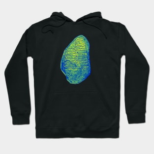 The Nørre Nærå Runestone Hoodie